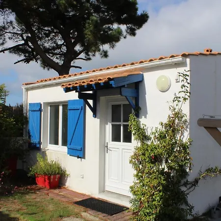 Petit Cypres Du Bois *