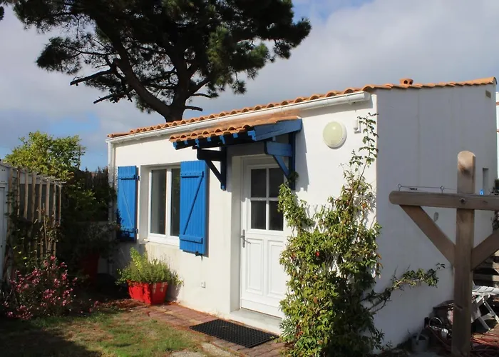 Petit Cypres Du Bois *